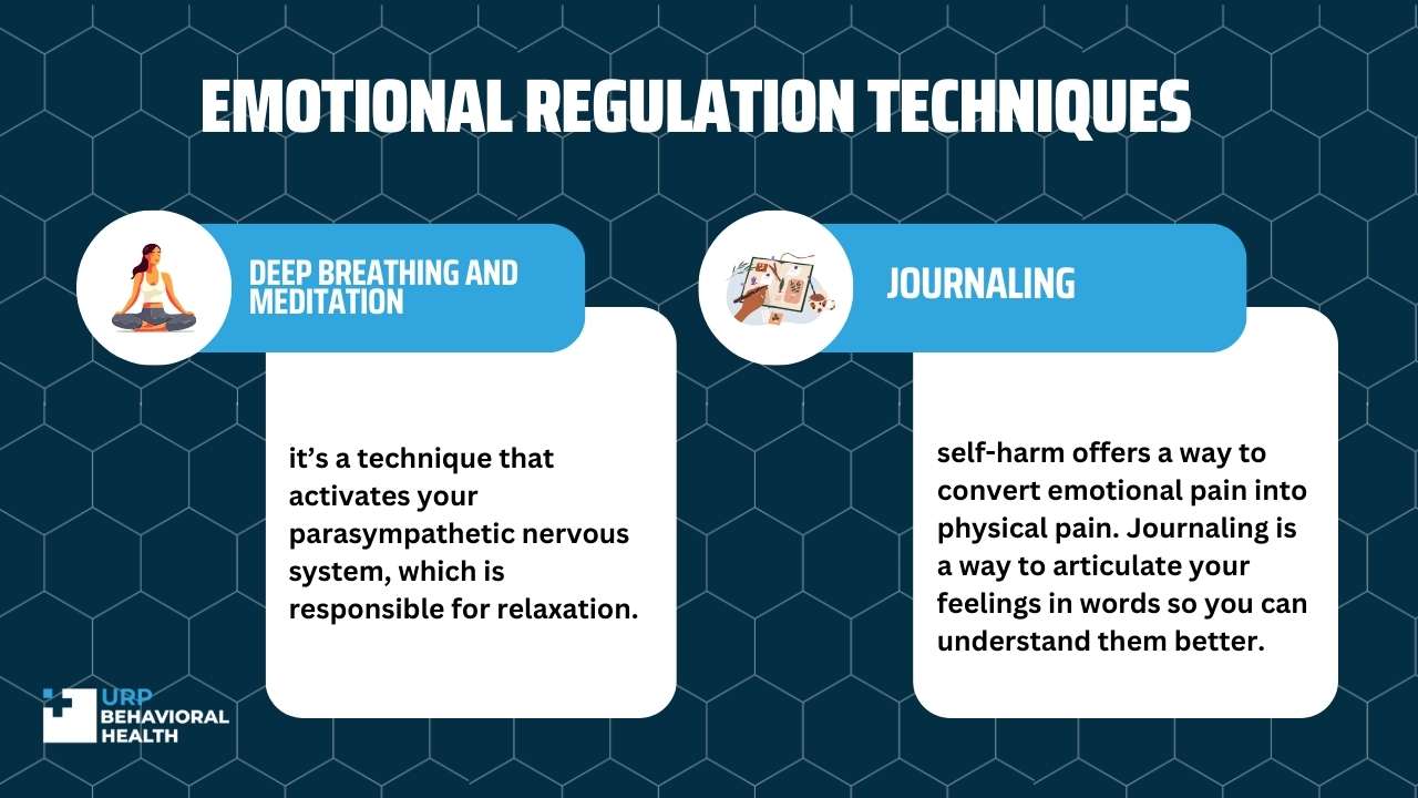 Emotional Regulation Techniques