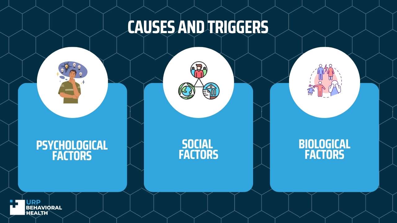Causes and Triggers