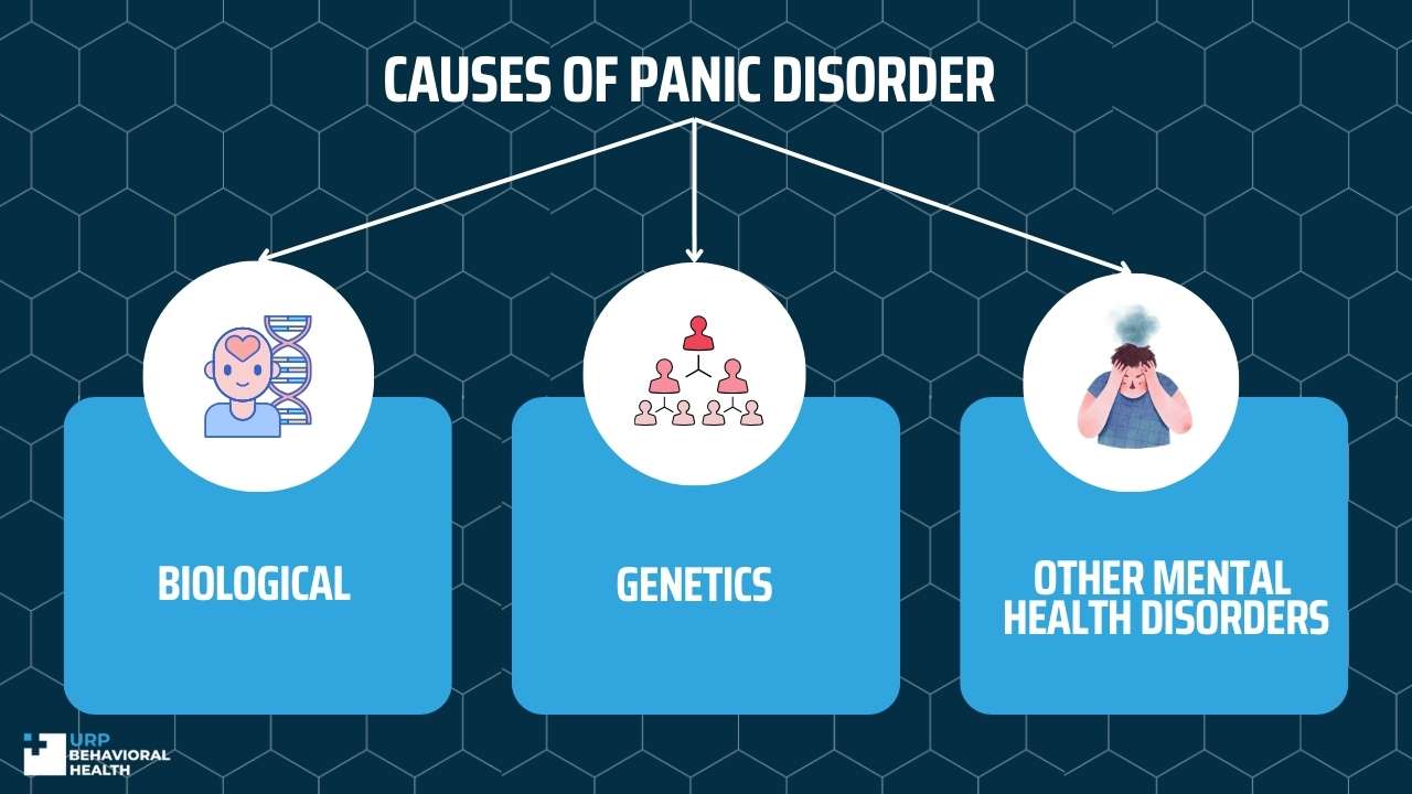 Causes of panic disorder 